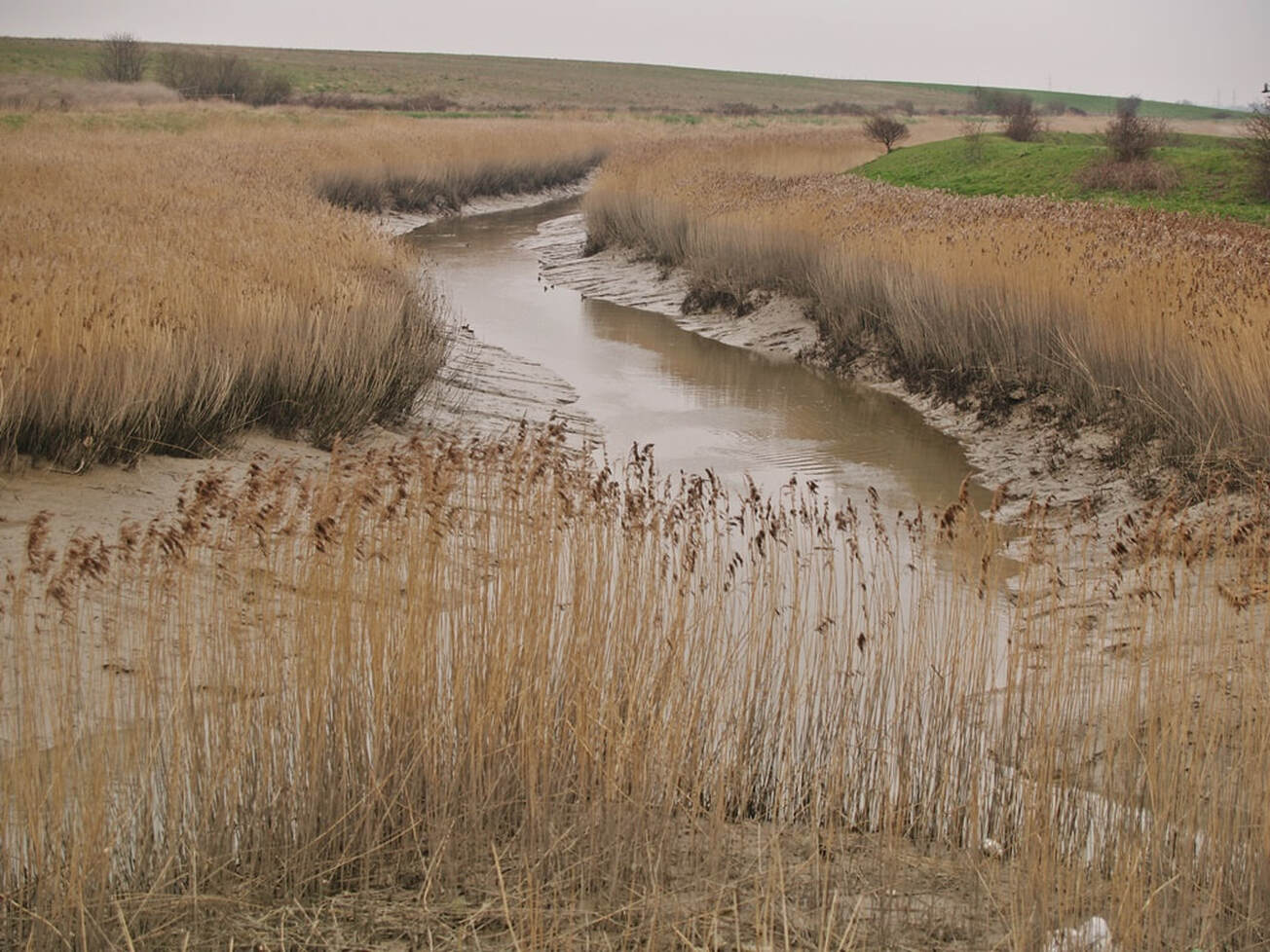 Picture of the tidal Crayford Creek. River Cray towards the River Darent on Dartford Marshes
