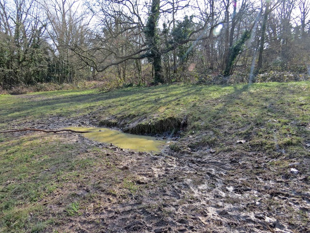 Headwaters of a lost river of London's Lost Rivers in Honor Oak