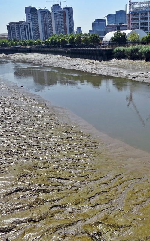 Picture of mud flats along Bow Creek on walking tour of Canning Town