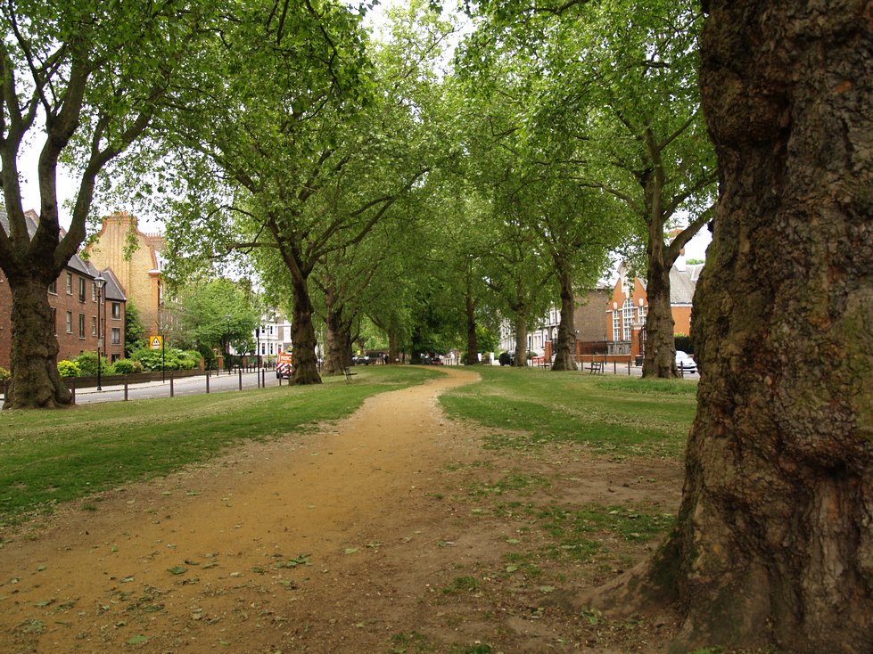 This pathway lined by ancient trees marks the course of Parr's Ditch in Brook Green, Hammersmith
