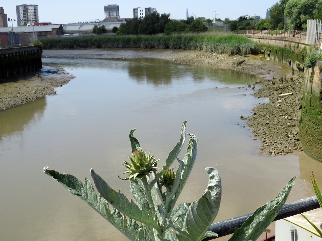 Picture of Bow Creek aka Lower Lea in Canning Town on London's  Lost Rivers tour from Bromley by Bow to East India Dock