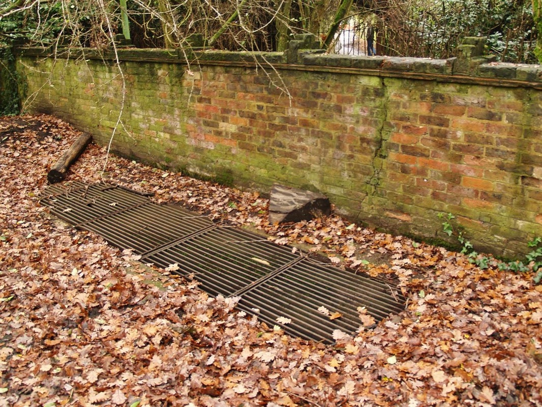 Drains take any surface waters of the River Moselle away from Queen's Wood into a culvert