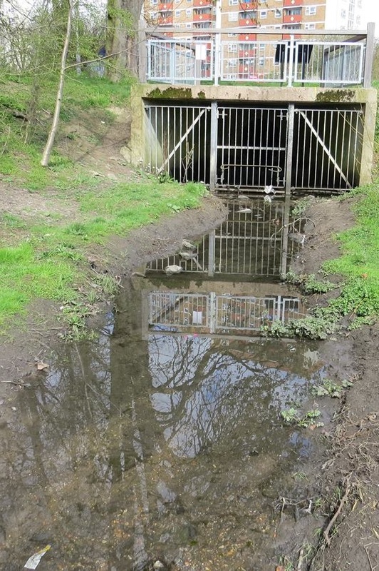 The water seeps up out of the ground by the metal grille which then trickle into a little channel - the start of the River Lea.