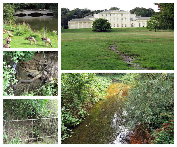 The guided walking tour passes Kenwood House a former stately home on the northern boundary of Hampstead Heath.Within, it's grounds we see headstreams that feed the River Fleet, one the largest of London's subterranean rivers