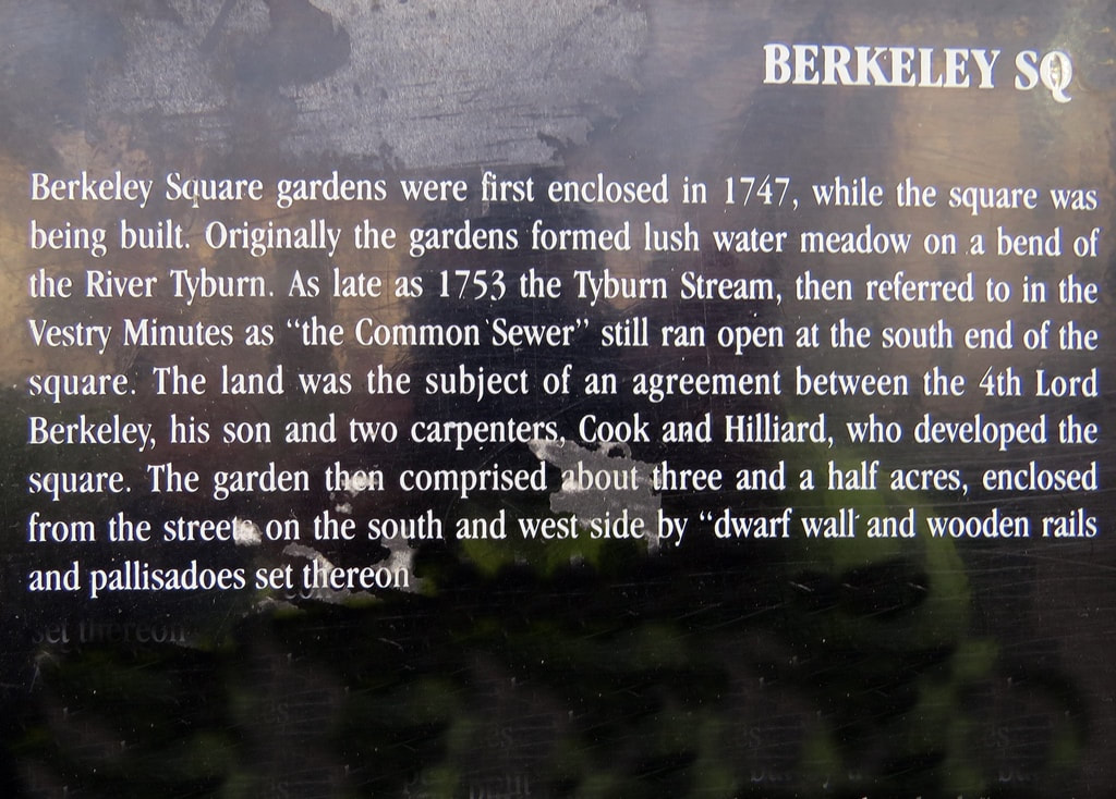 An Information board in Berkeley Square saying the gardens formed lush water meadow on a bend of the River Tyburn. As late as 1753 the Tyburn Stream then referred to as the common sewer still ran open at the south end of the square
