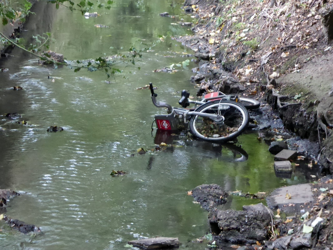 Picture of abandoned hire bike in the River Moselle in White Hart Lane, Tottenham Cemetery
