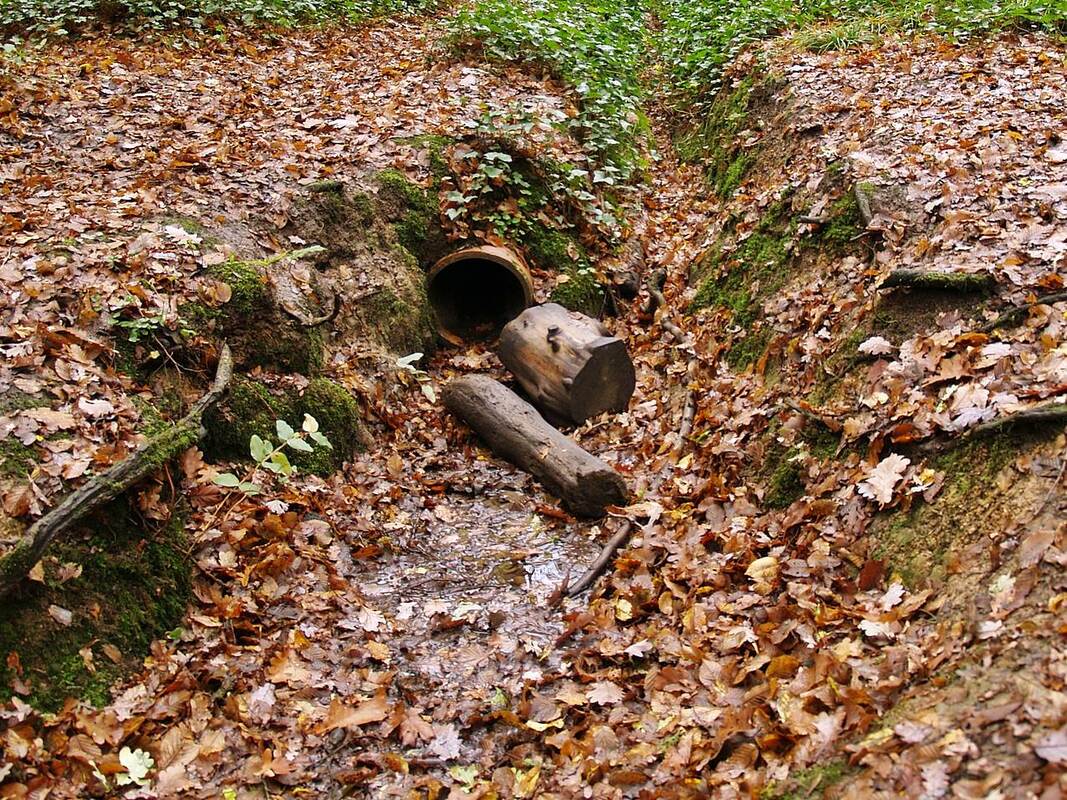 Picture of River Moselle water trickling out of a pipe into a ditch on Queens's Wood in Highgate, North London 