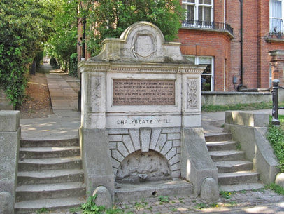 Chalybeate Well in Hampstead fed by strings that feed the River Fleet. Lost Rivers of Hampstead guided walk of London 