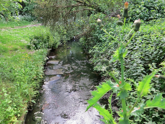 The Yeading Brook flows southwest  though Roxbourne Park near Rayners Lane