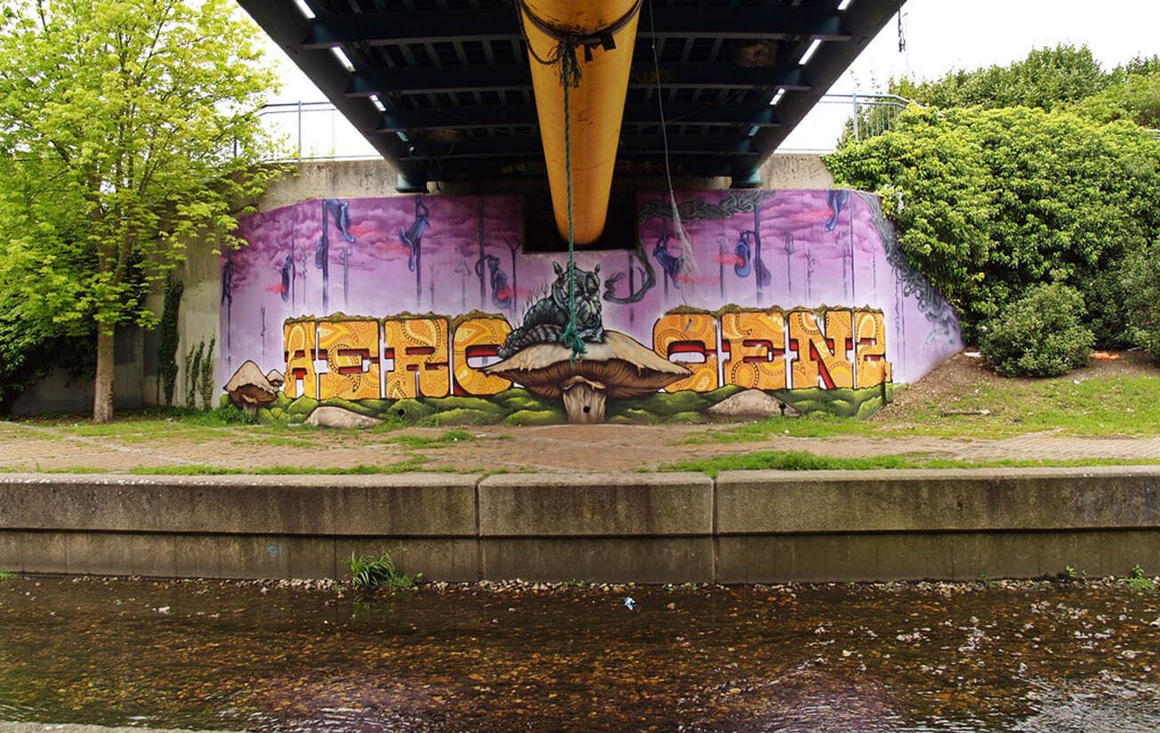 Picture of graffiti along River Pool under a bridge on Riverside Linear Walk